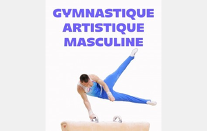 La Gymnastique Artistique Masculine GAM 